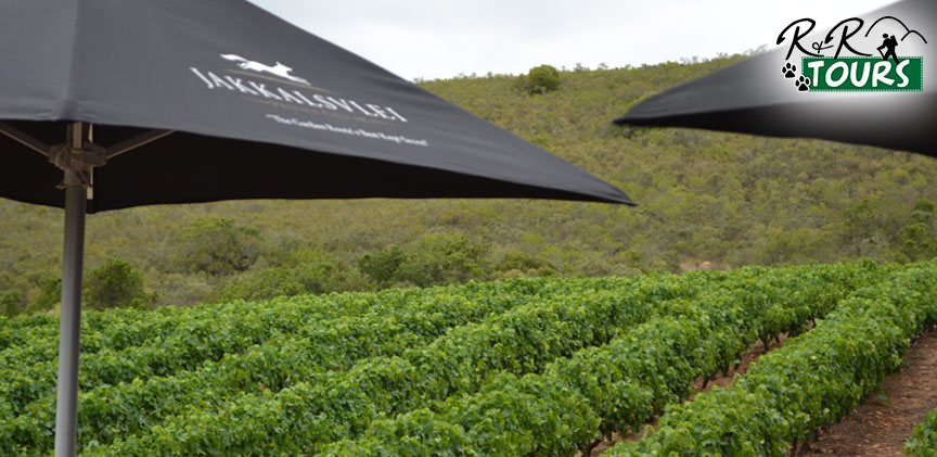 Jakkalsvlei Wine Estate Tour