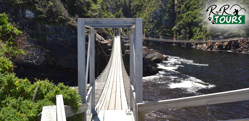 Tsitsikamma National Park with it’s suspension bridges is really a piece of paradise. It's a popular destination with unbelievable scenery.